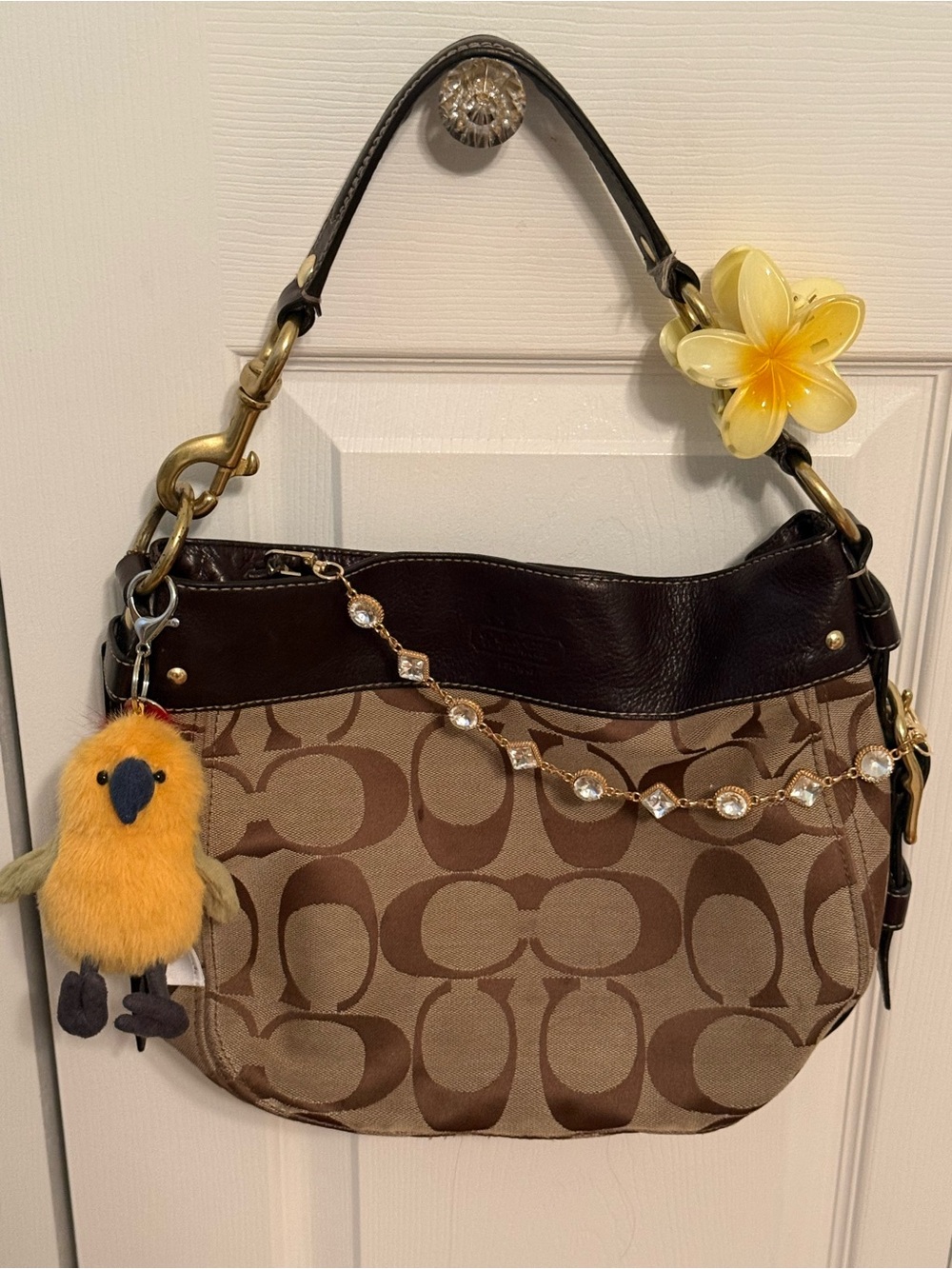 Vintage Coach Zoe Signature Canvas Hobo Bag